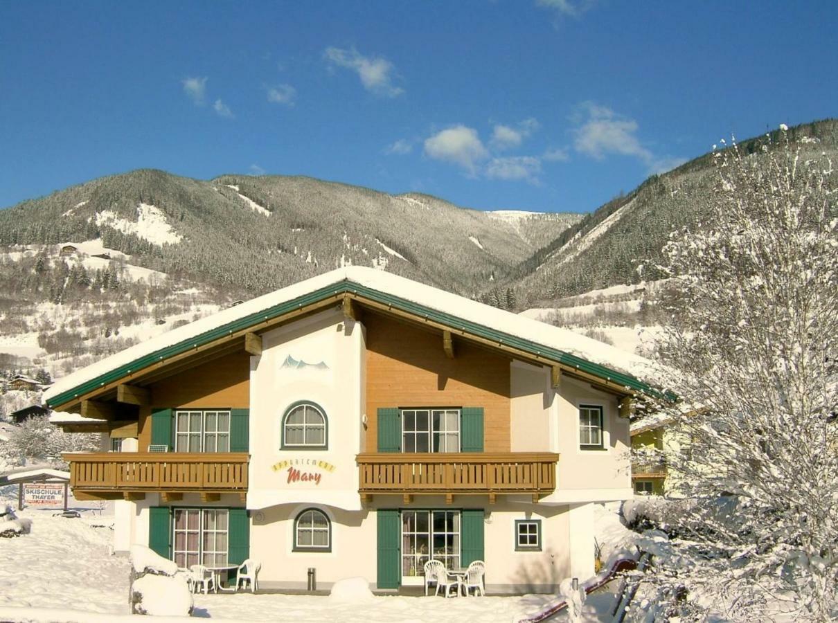 Appartements Mary Inklusive Tauern-Spa Kaprun Zewnętrze zdjęcie